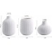 CESTATIVO White Ceramic Vase Set of 3,Small Ribbed Vases for Rustic Home Decor,Modern Minimalist Decor,Shelf Decor,Table Decor,Decorative Flower Vases for Bookshelf